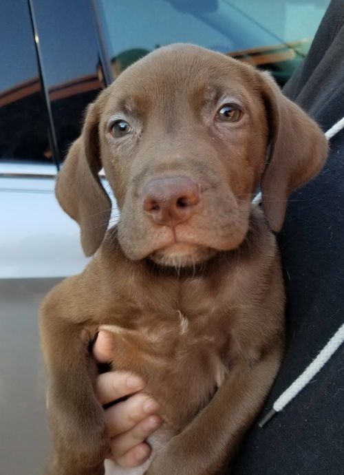 Axel