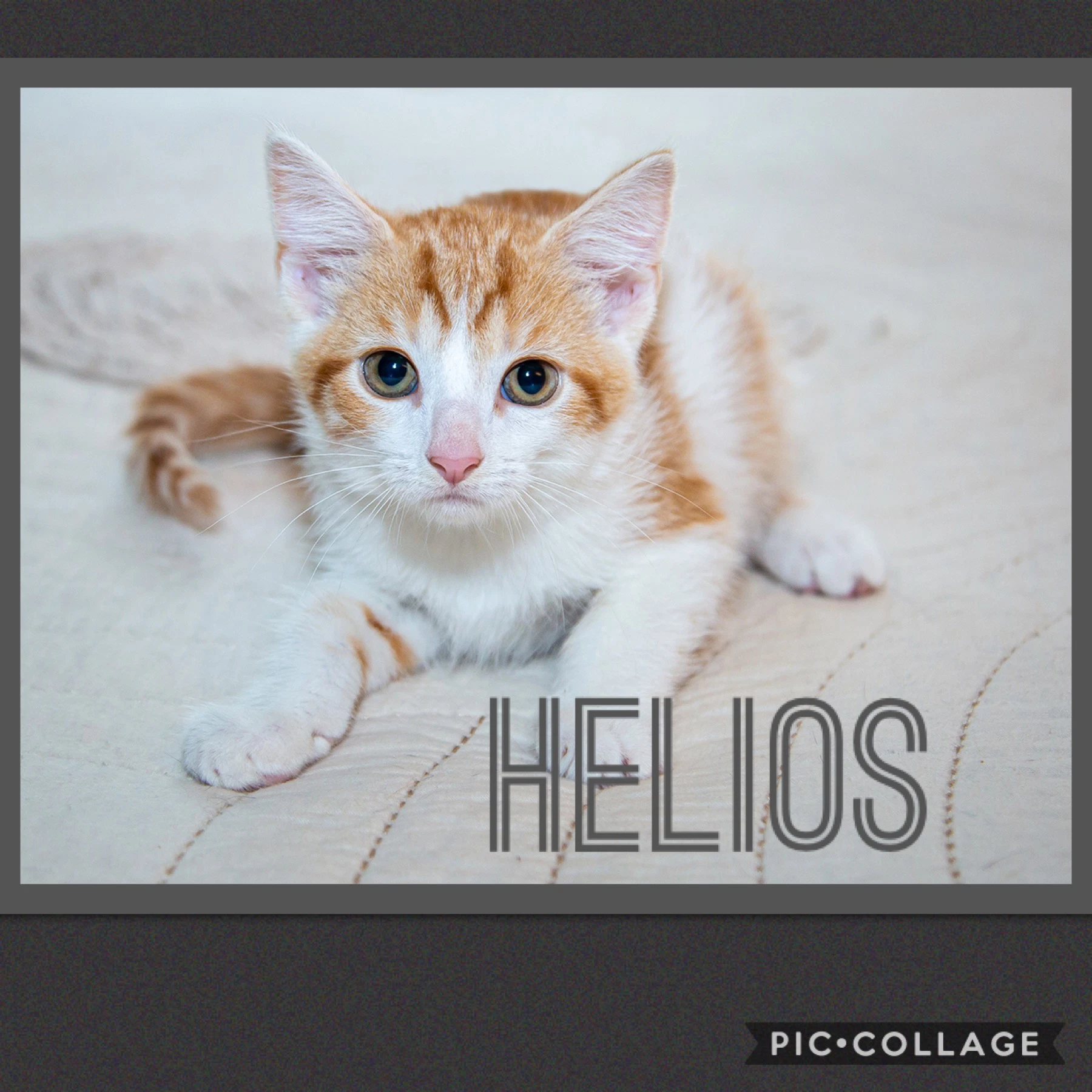 Helios
