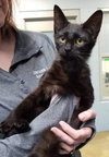 Ellie Rae — Louisville, KY Adoption