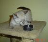 Judy in Ohio