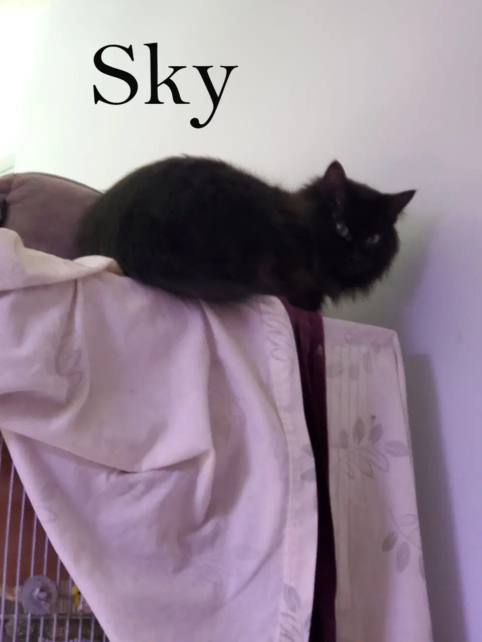 Sky image 2