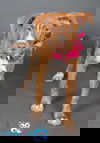 Teegen