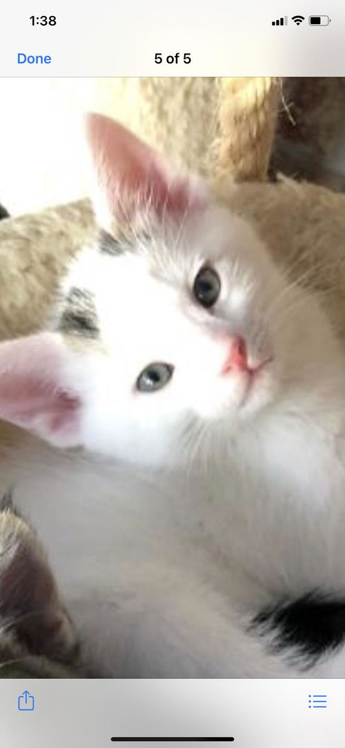 Mr Dot