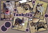 Tanksley (Dixie)