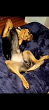 Benito Mateo