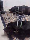 Onyx