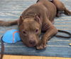 Romeo