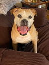 Tyson