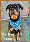 Big Ben