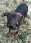 Darby