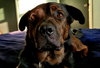 Daquillo - Photo 6
