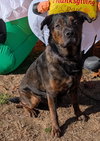 Daquillo - Photo 4
