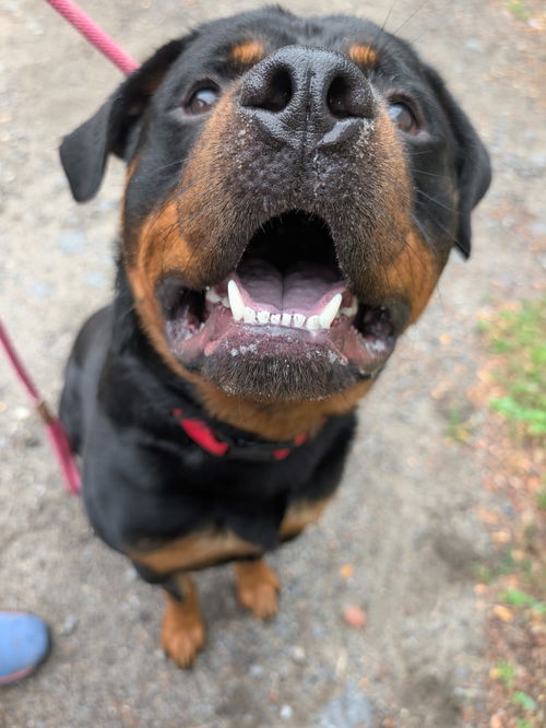 Tyson