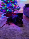 Athena - Photo 3