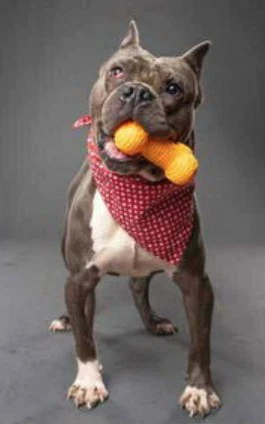 Big Max