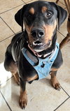 Rowdy - Photo 1