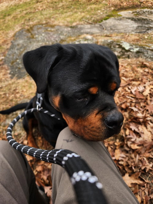 Goliath-Courtesy Post photo 2