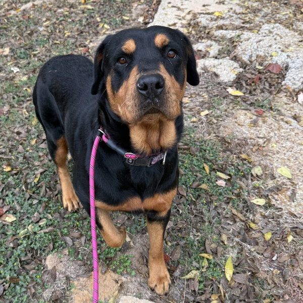 Daisy Mae