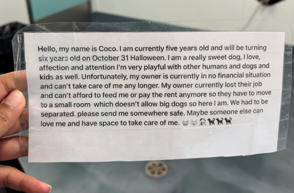 Coco