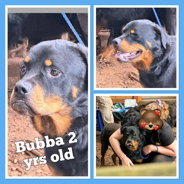 Bubba