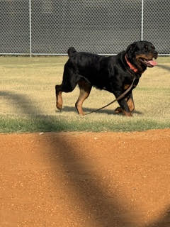 Daisy Duke image 2