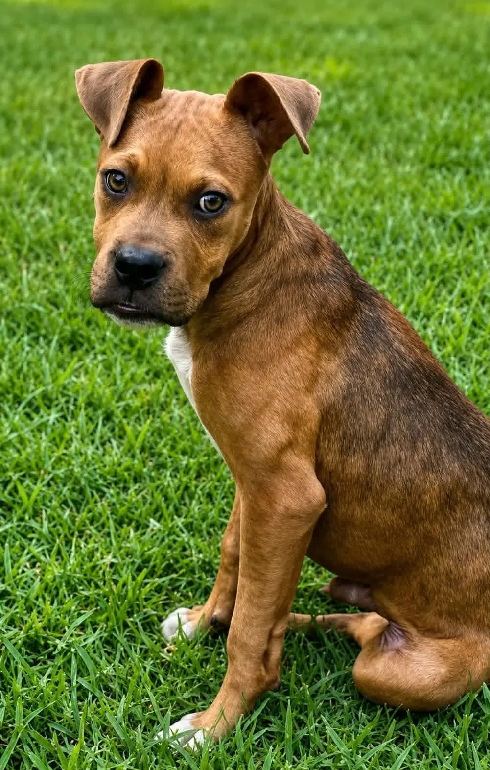 Riggs image 2