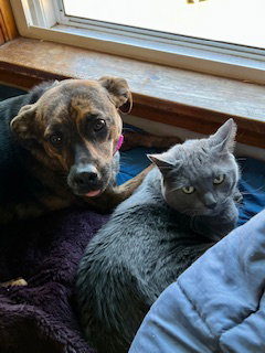Kemba, photo 3