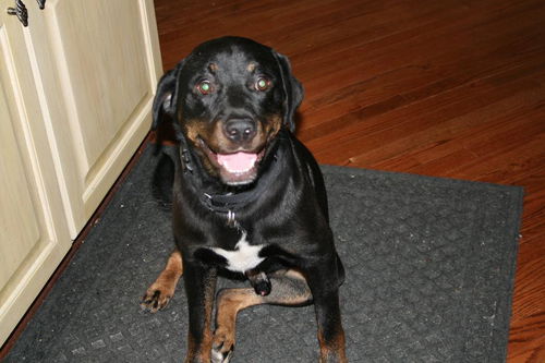 Blackie