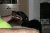 Blackie