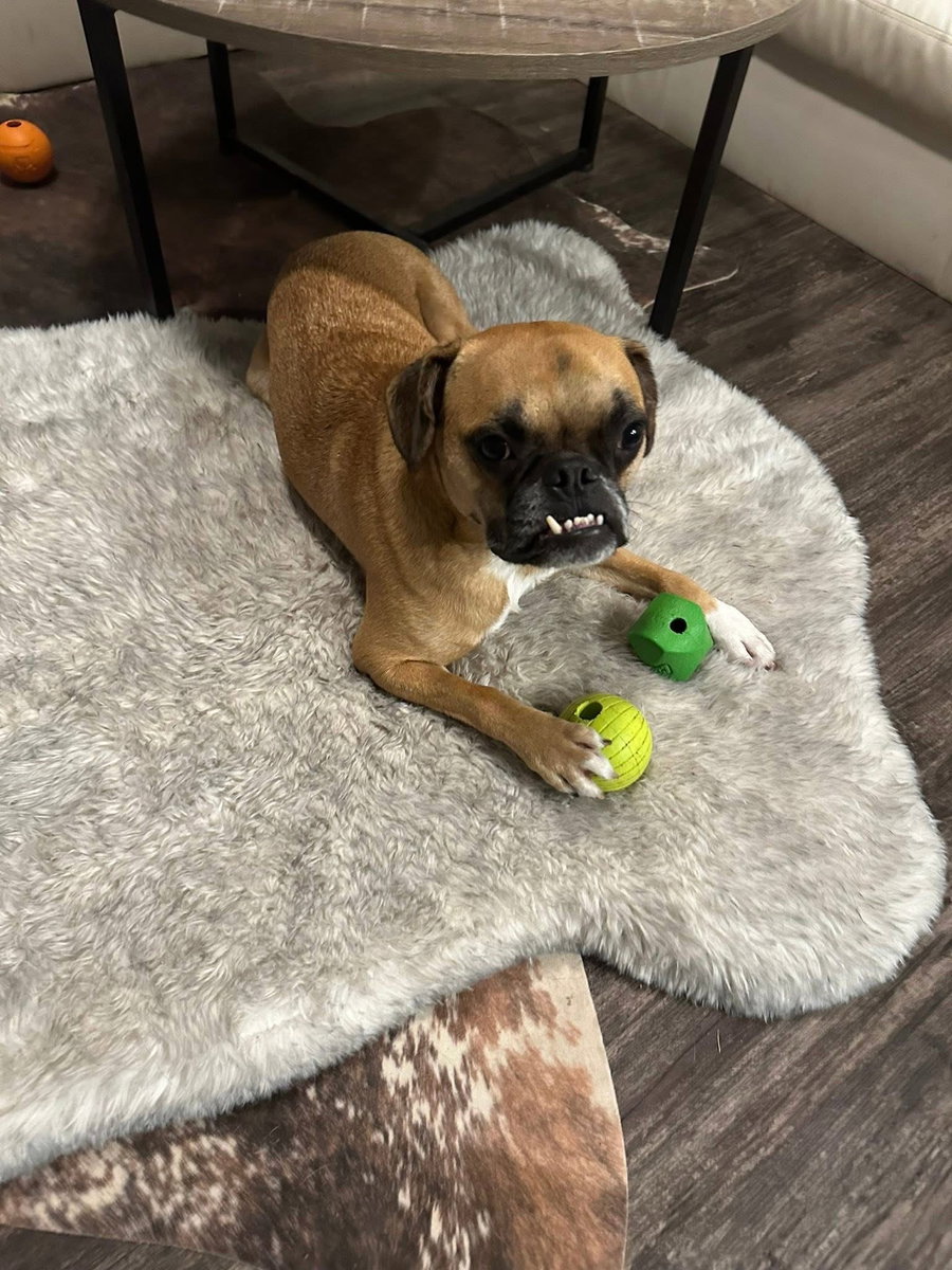 Nash