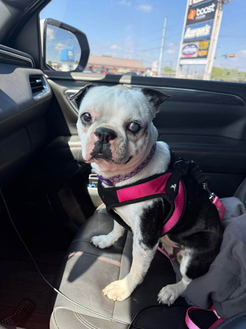 Gina