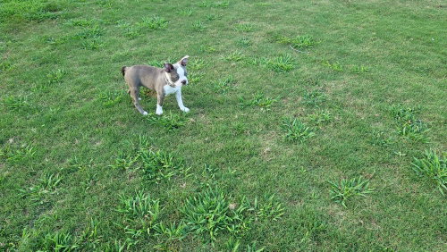 Lilly photo 2