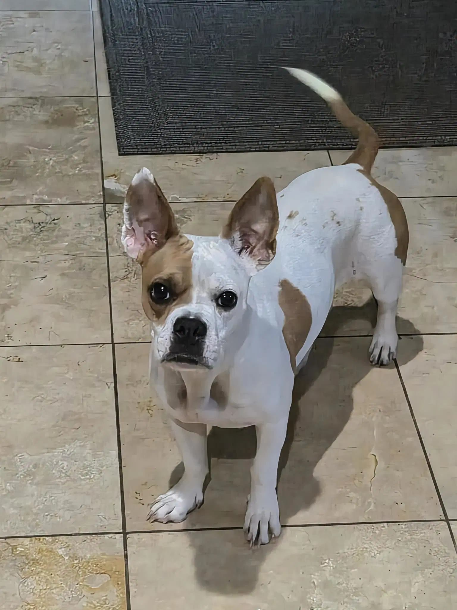 Coco image 1