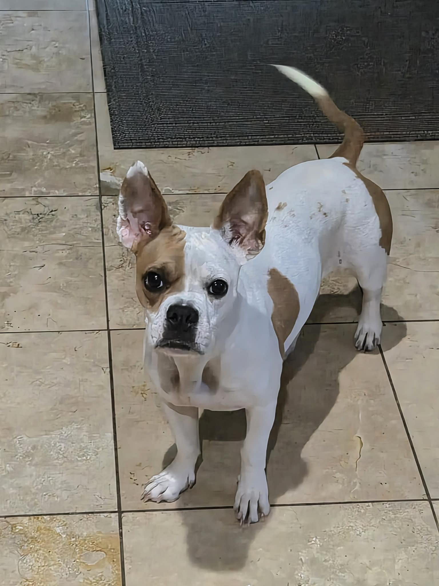 Coco