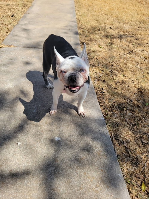 Photo 2 of Dorothy