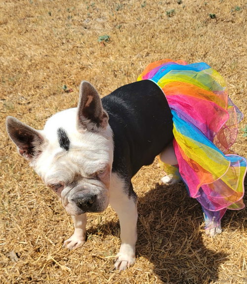 Photo 3 of Dorothy