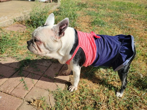 Photo 4 of Dorothy