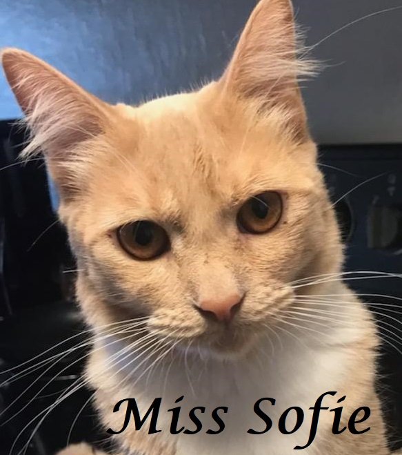 Miss Sofie at Martinez PFE  May 4th
