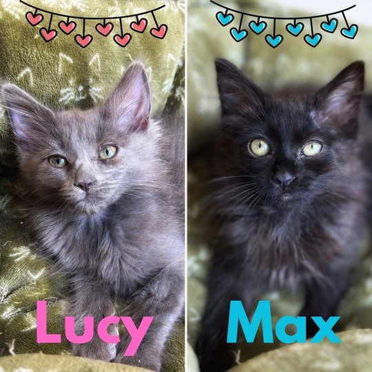 Lucy and Max