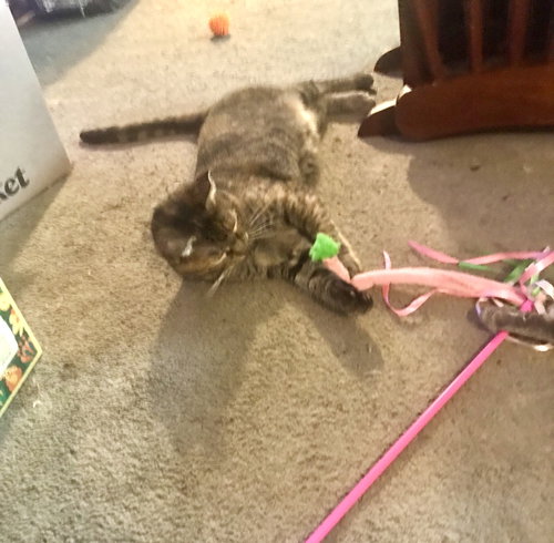 Photo 4 of Princess