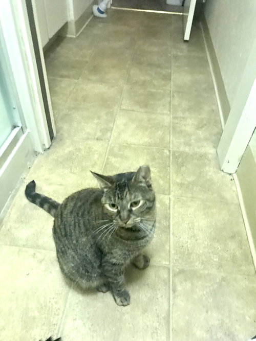Photo 6 of Princess
