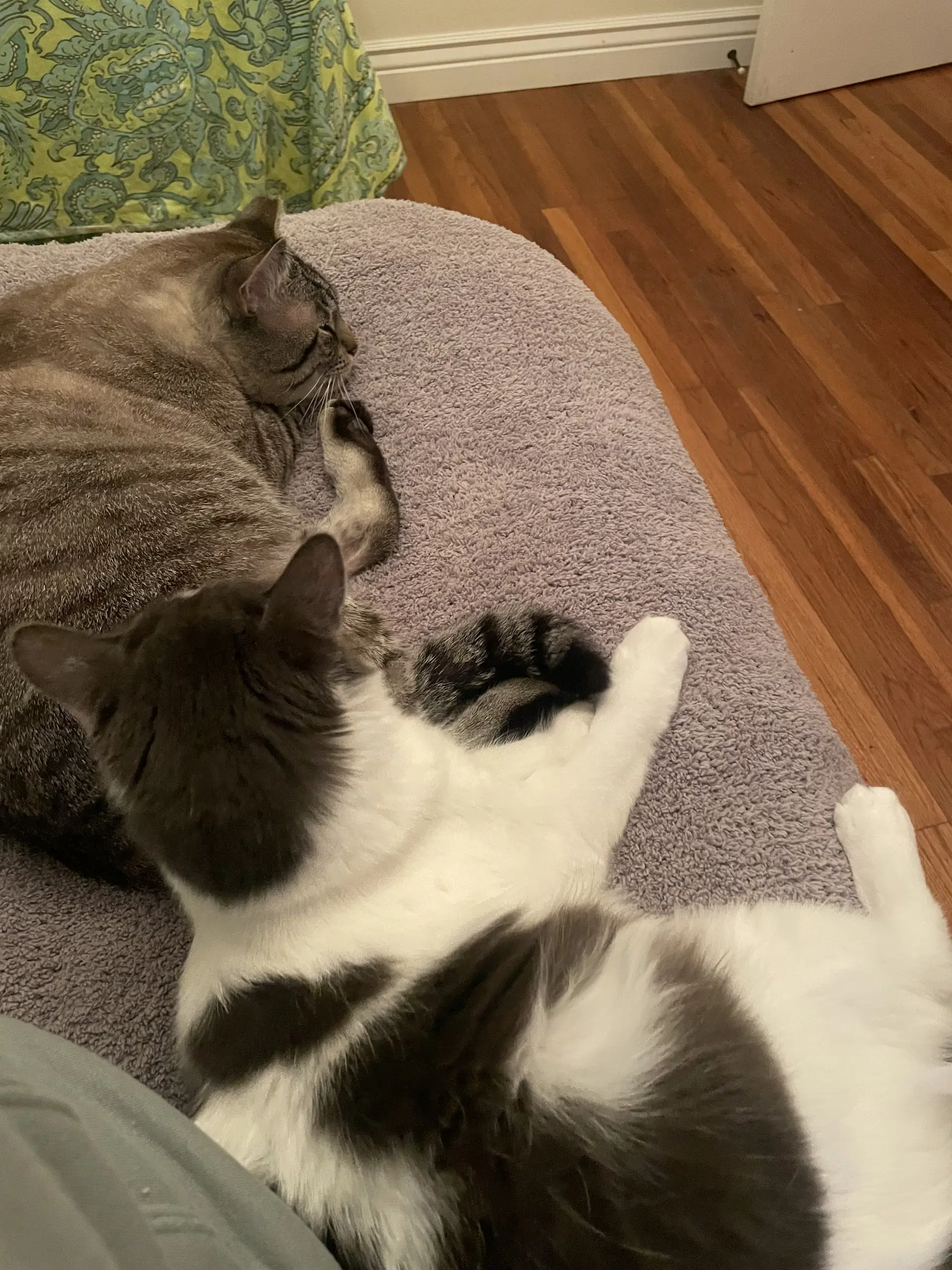 Milo And Sweetie image 3