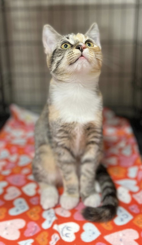 Photo 3 of Tina