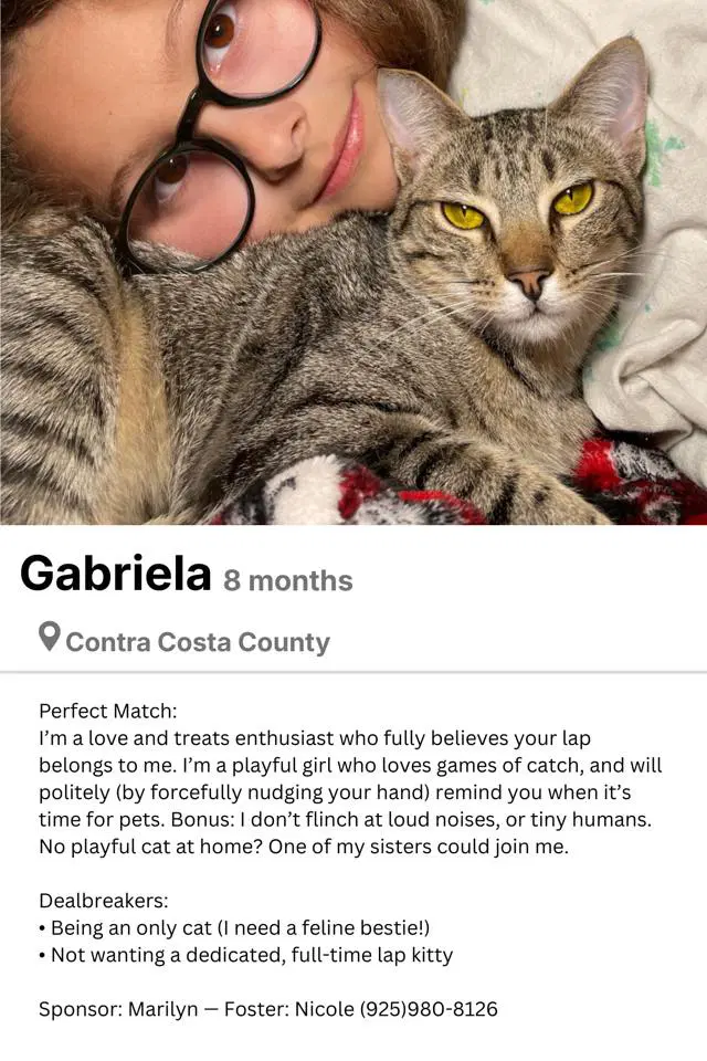 Gabriela image 4