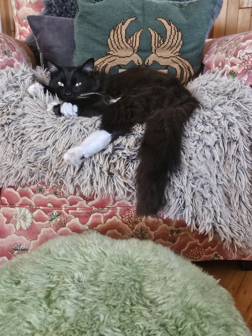 Nod (bonded with Moon)