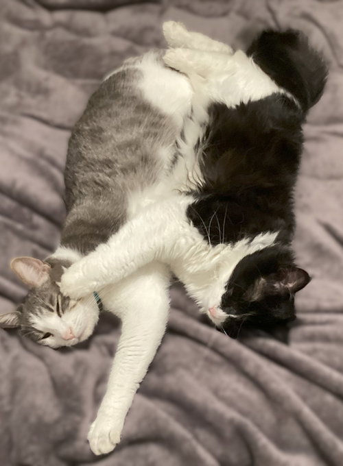 Photo 2 of Cletus and Myrtle