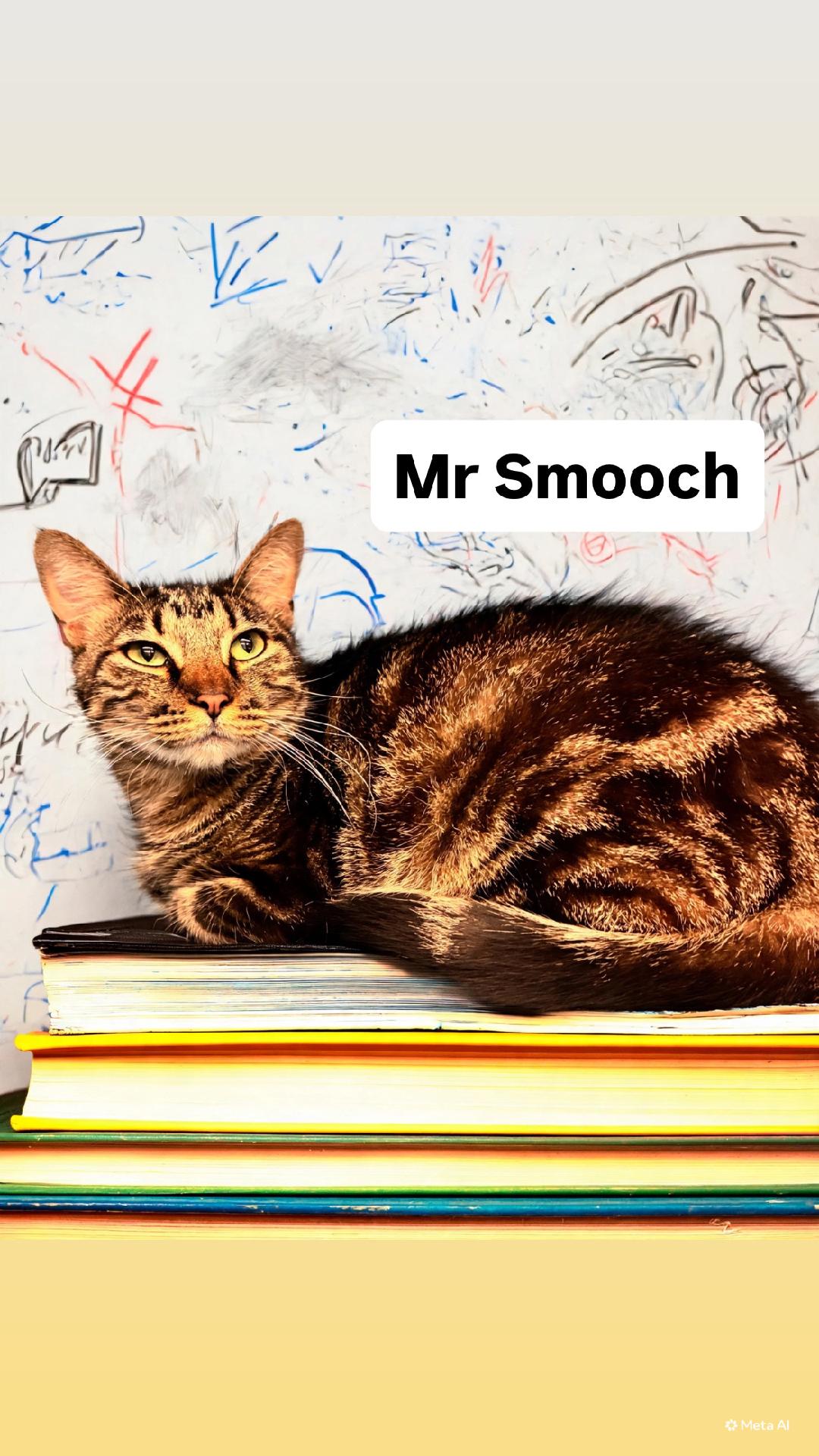 Mr Smooch At Martinez Pfe June Th
