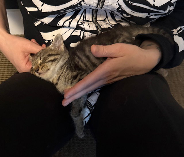 Imp