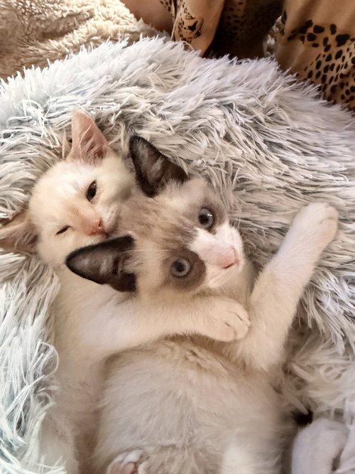 Photo 3 of Steve and Reggie