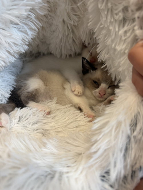 Photo 4 of Steve and Reggie